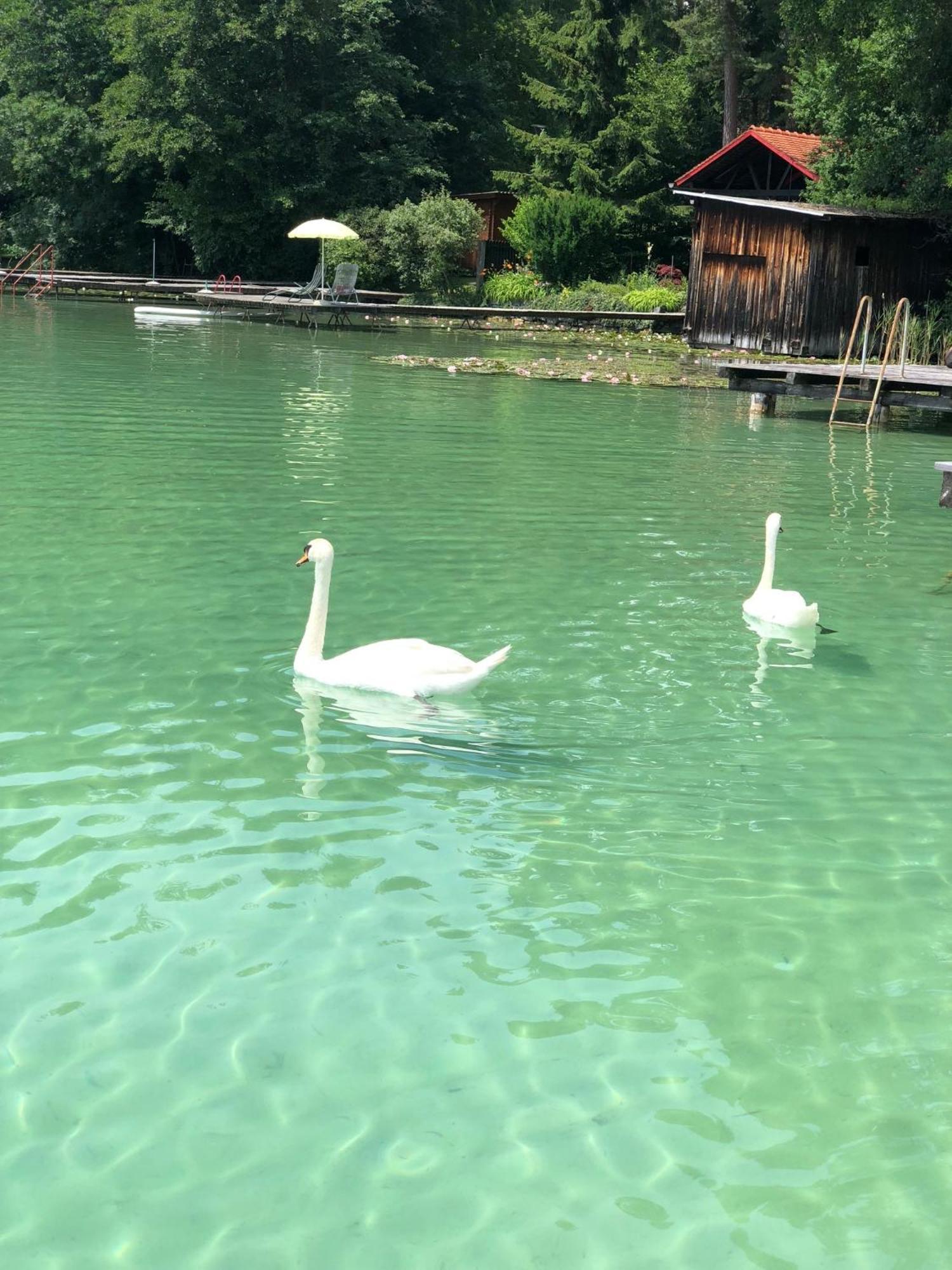 Hotel Alex Sankt Kanzian am Klopeiner See Esterno foto