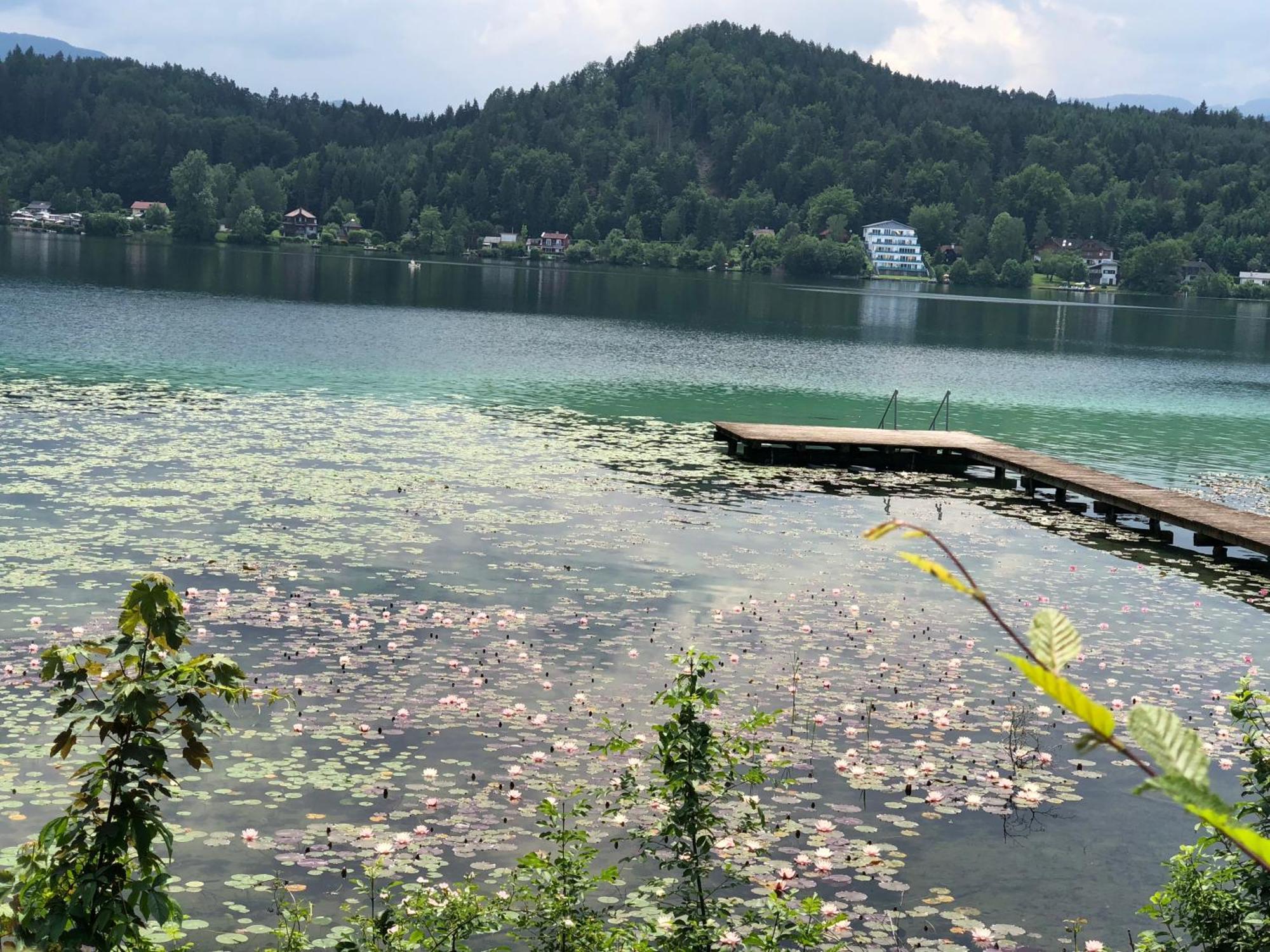 Hotel Alex Sankt Kanzian am Klopeiner See Esterno foto